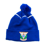 ADULT BLUE SHIELD HAT
